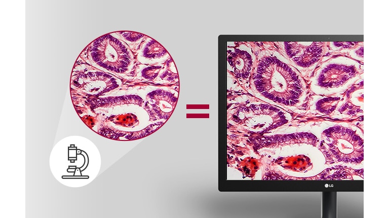 mode Pathologie offrant des résultats d’imagerie aussi détaillés et précisément colorés que ceux vus au microscope