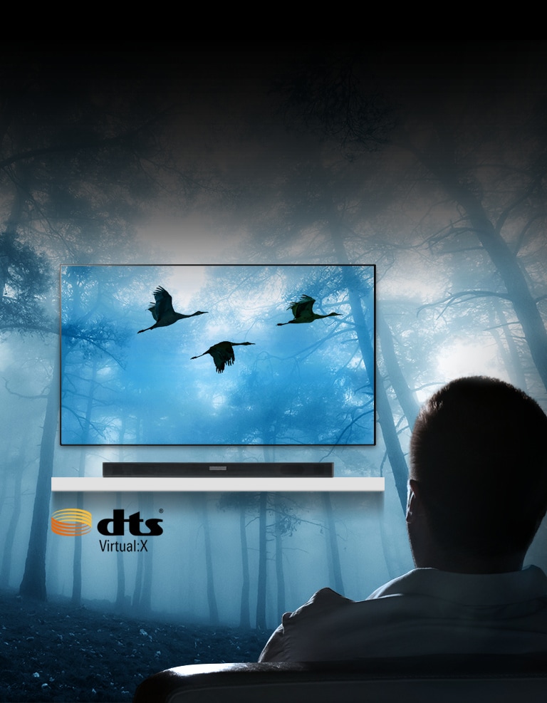 01_SK5_DTS_Virtual_X_Promises_a_Full_Three_dimensional_Surround_Sound_Mobile_v1