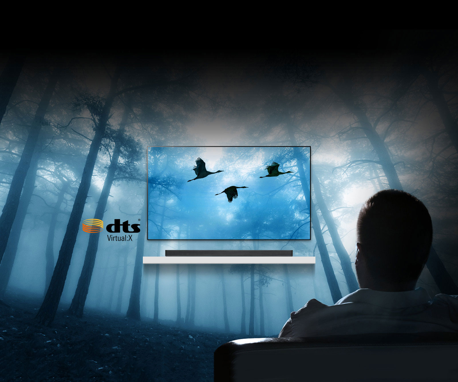 Un son surround puissant et en trois dimensions1