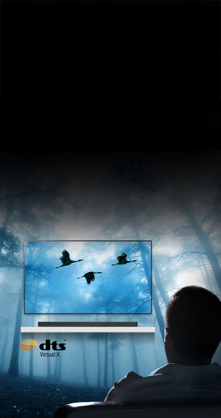 Un son surround puissant et en trois dimensions2