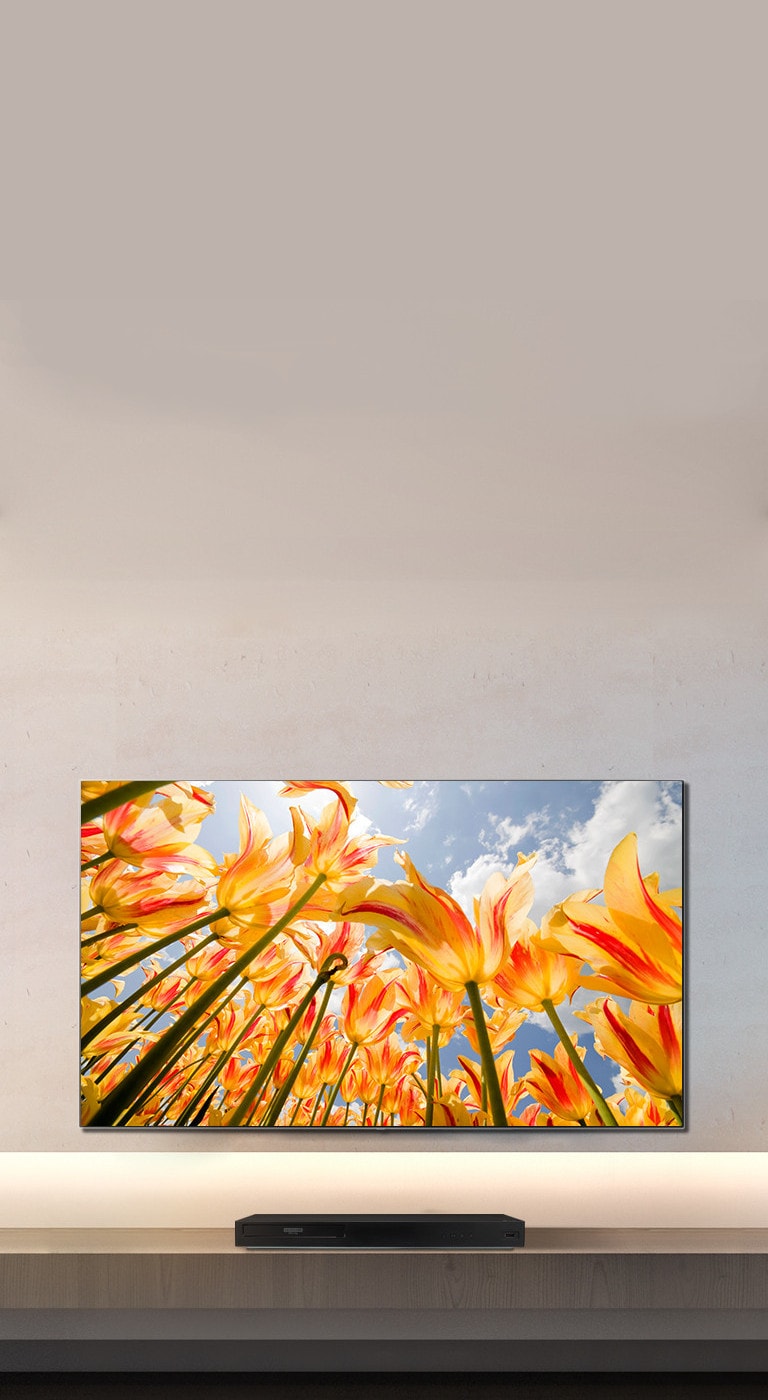 Lecture de contenu 4K: des images réalistes