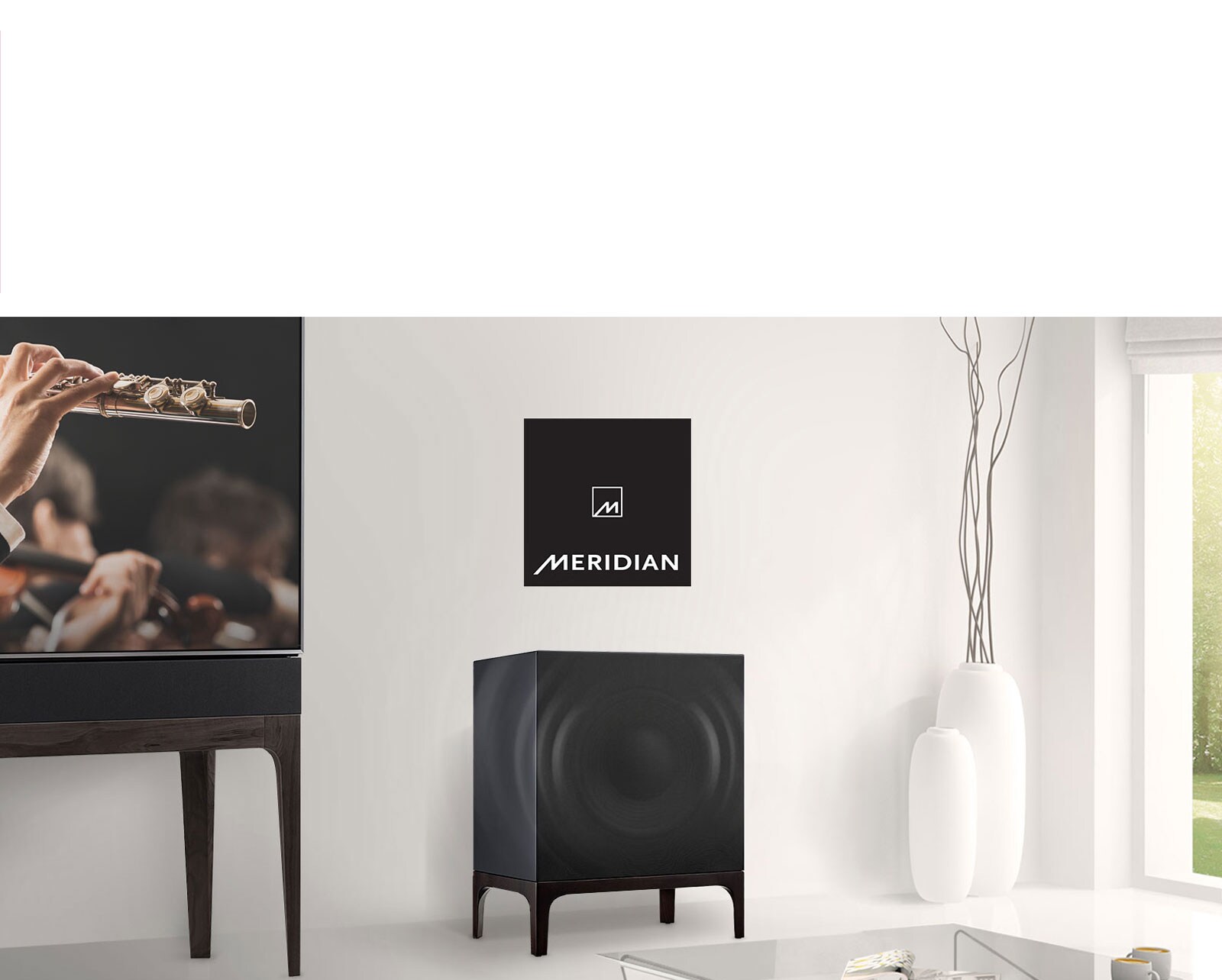 Son de haute qualité avec la technologie Meridian1