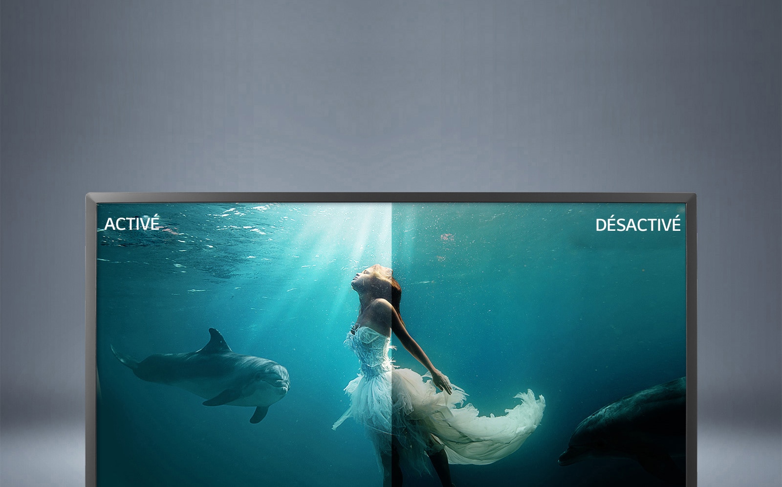 28MT49VTPZ TV Moniteur LG ELECTRONICS Belgique