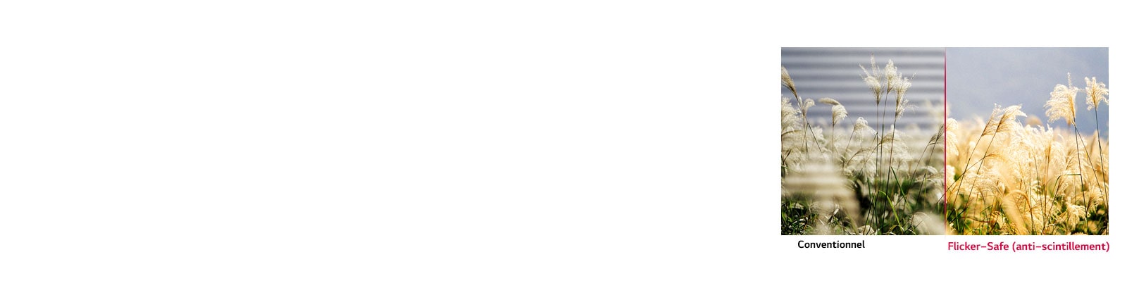 Flicker-Safe (anti-scintillement)<br>1