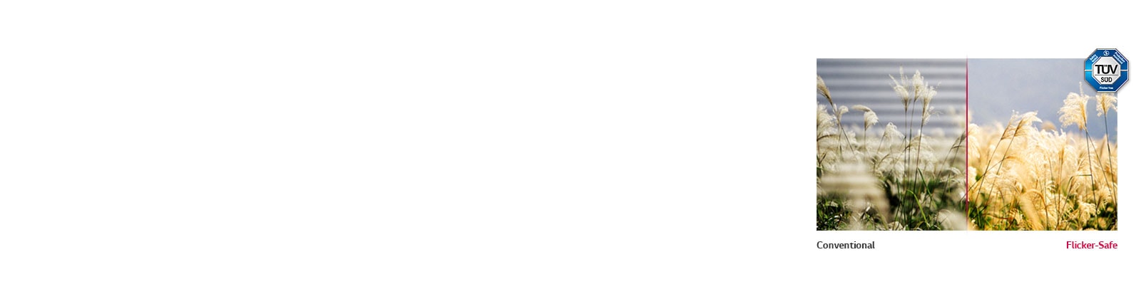 Flicker-Safe (anti-scintillement)<br>1