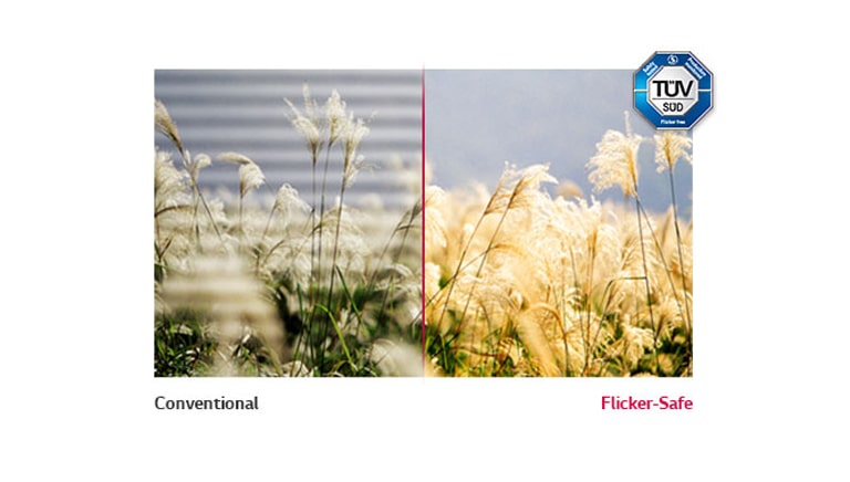 Flicker-Safe (anti-scintillement)<br>2