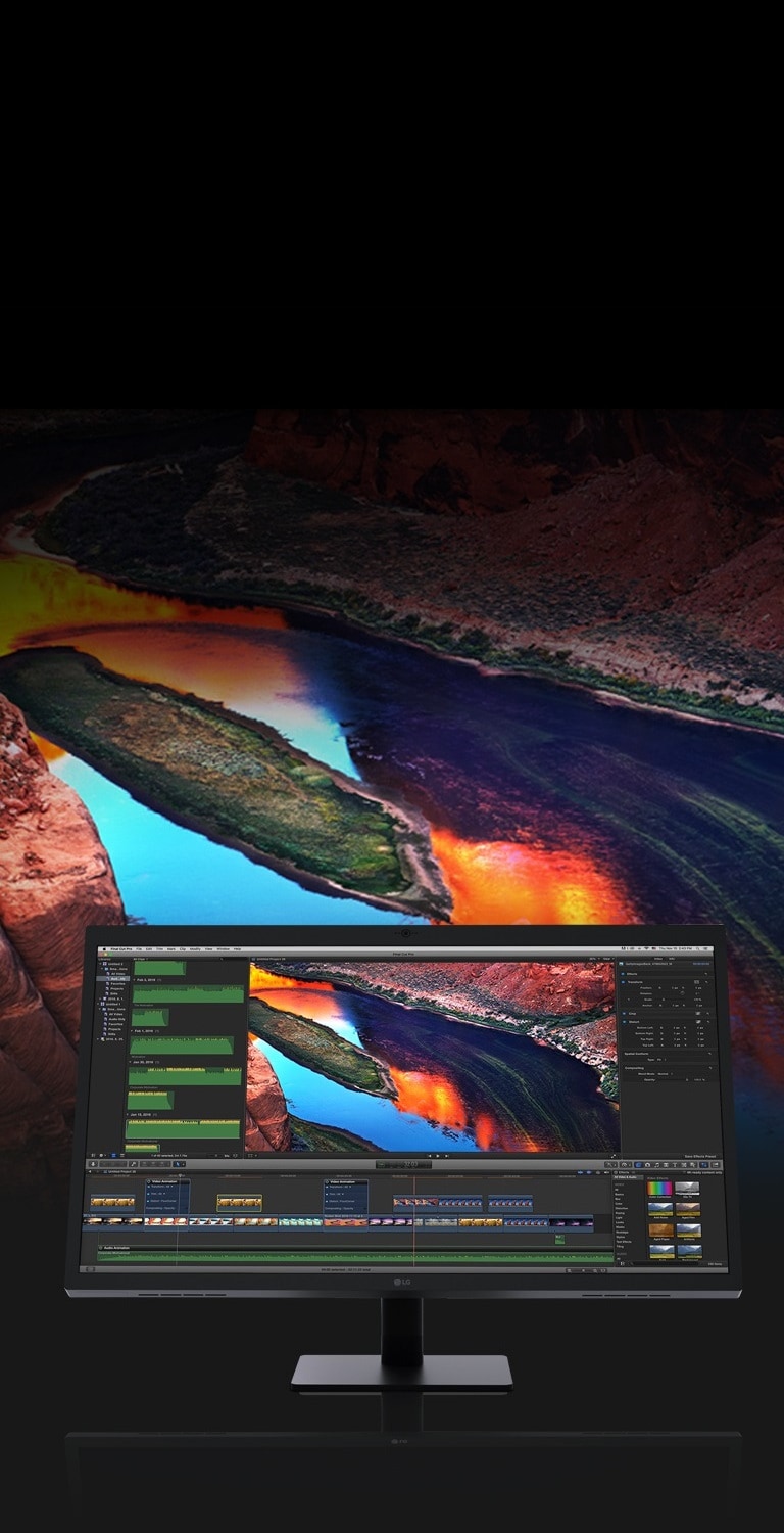 Riche en couleurs, détails précis <br>2