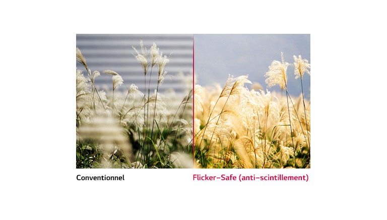 Flicker-Safe (anti-scintillement)<br>2