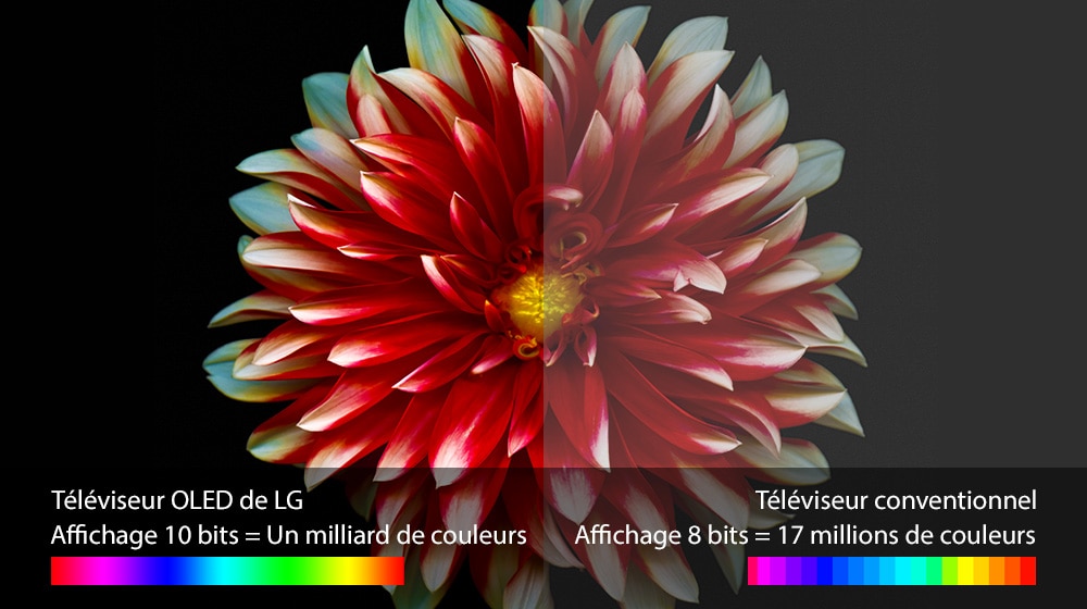 03_G7_A_Perfect-Color-on-Perfect-Black-(sub)