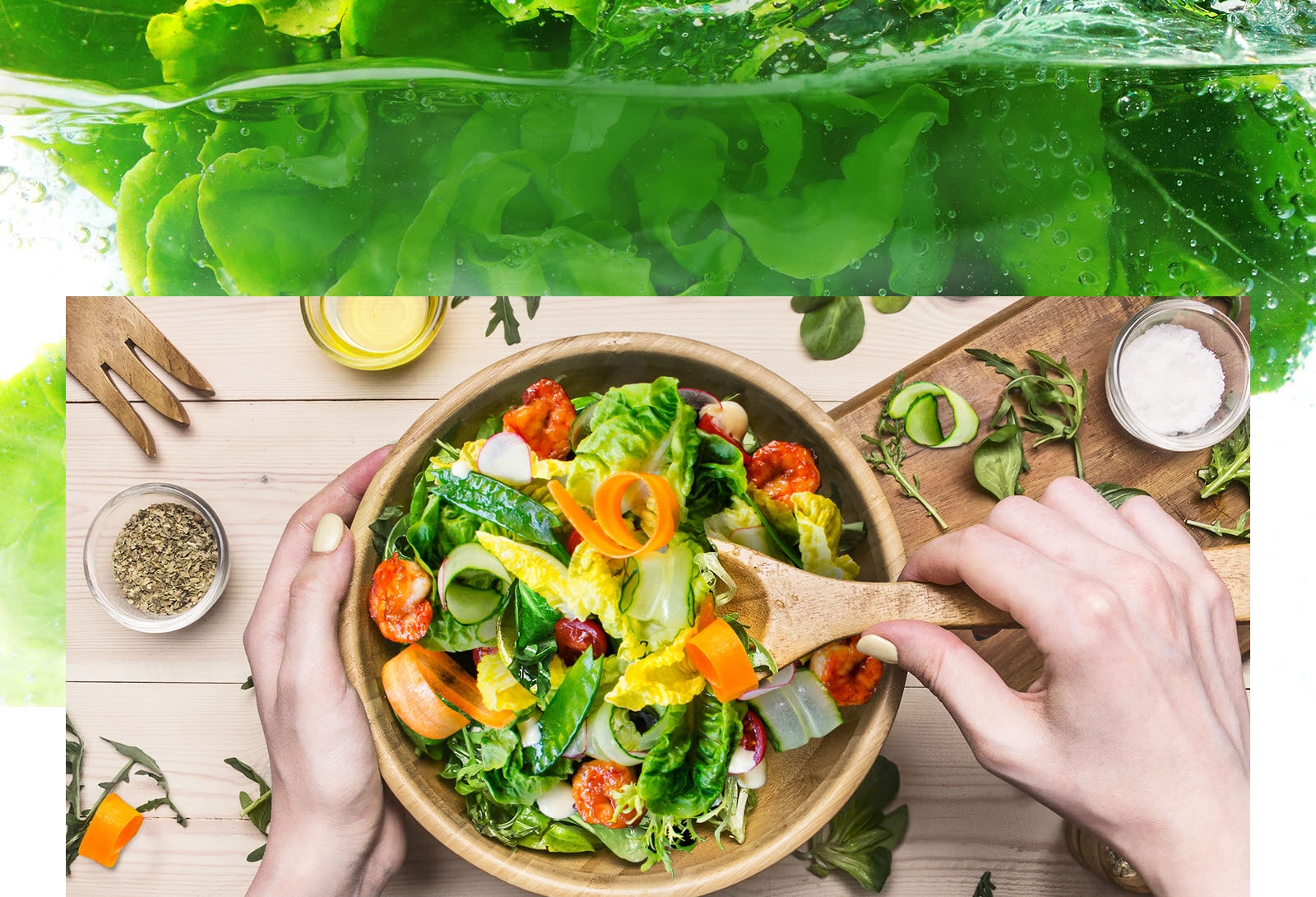 Gardez les aliments au frais plus longtemps1