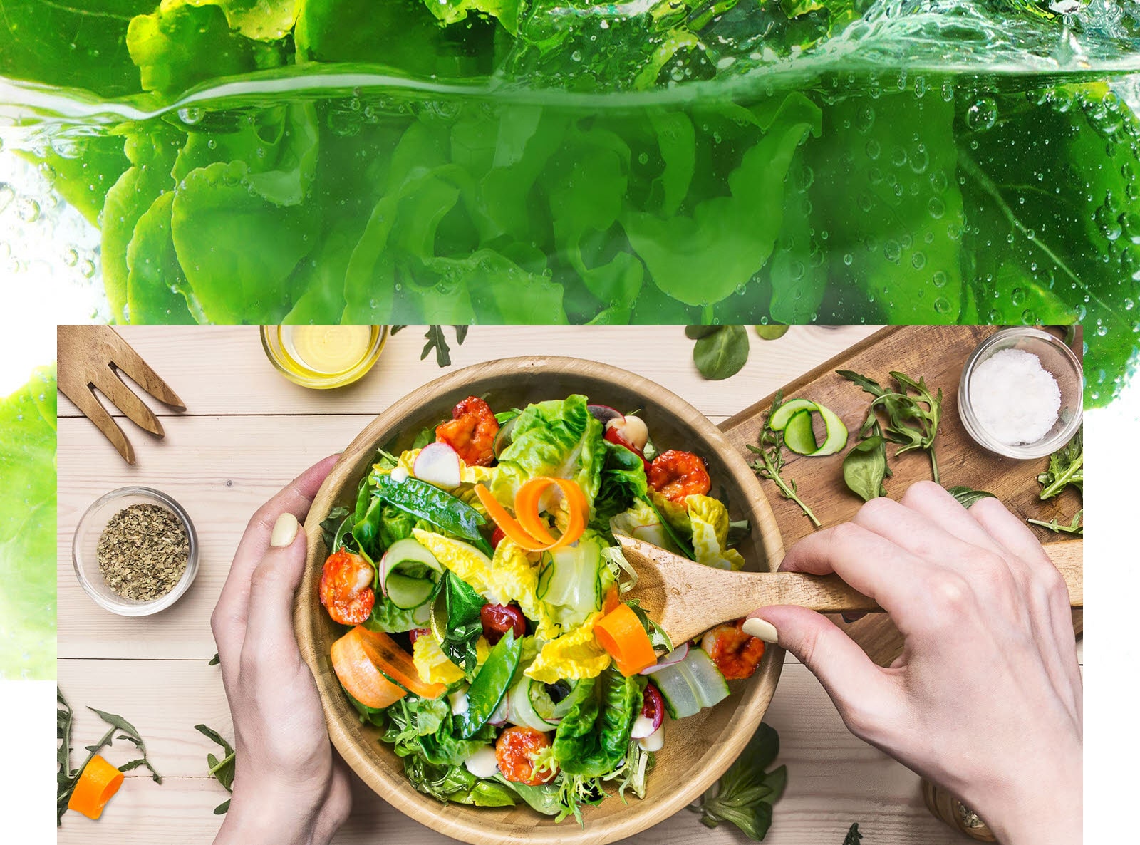 Gardez les aliments au frais plus longtemps