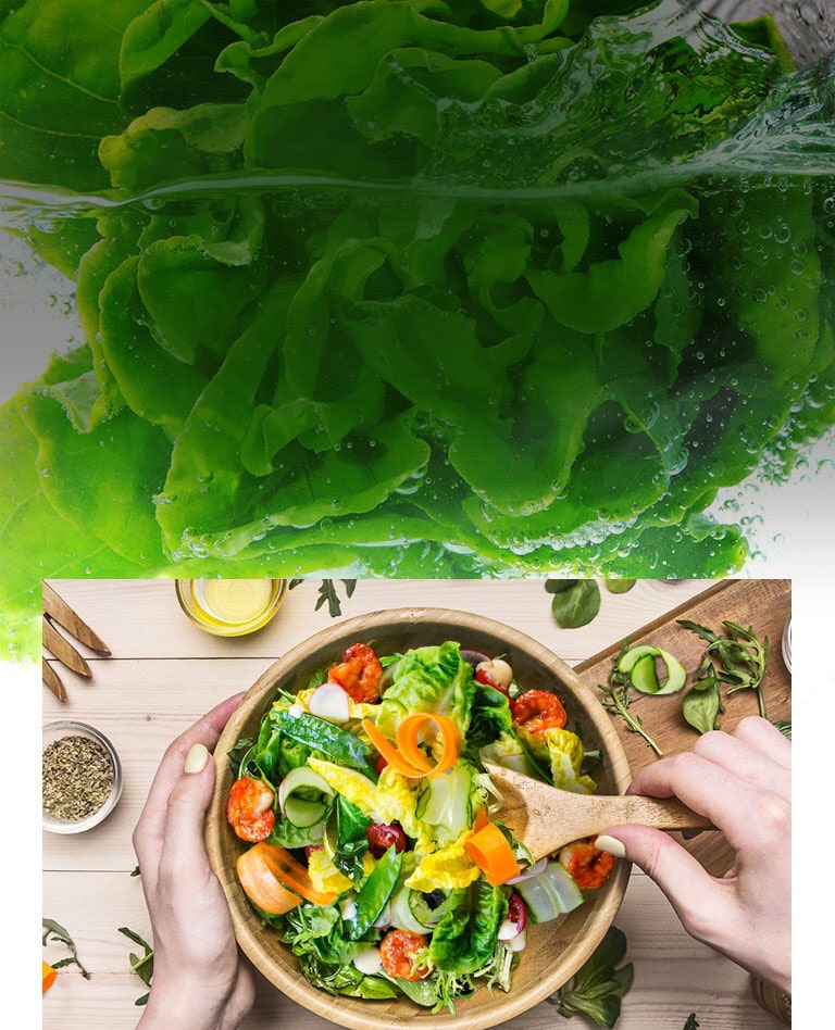 Gardez les aliments au frais plus longtemps2