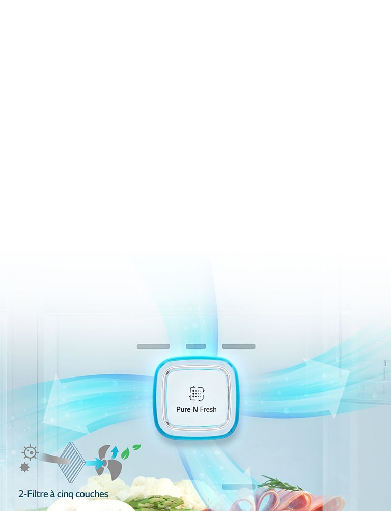 Filtre Pure N Fresh2