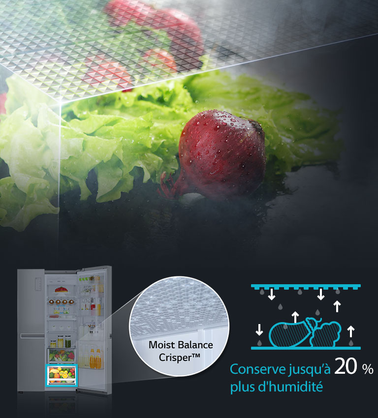 Moist Balance Crisper™2