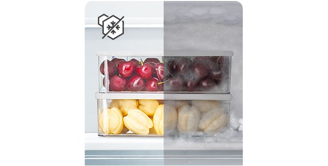 Comparaison des contenants de fruits surgelés avec et sans givre.
