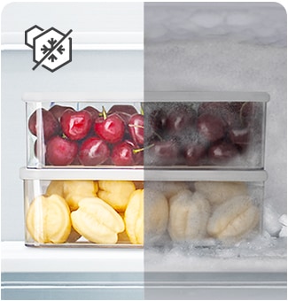 Comparaison des contenants de fruits surgelés avec et sans givre.