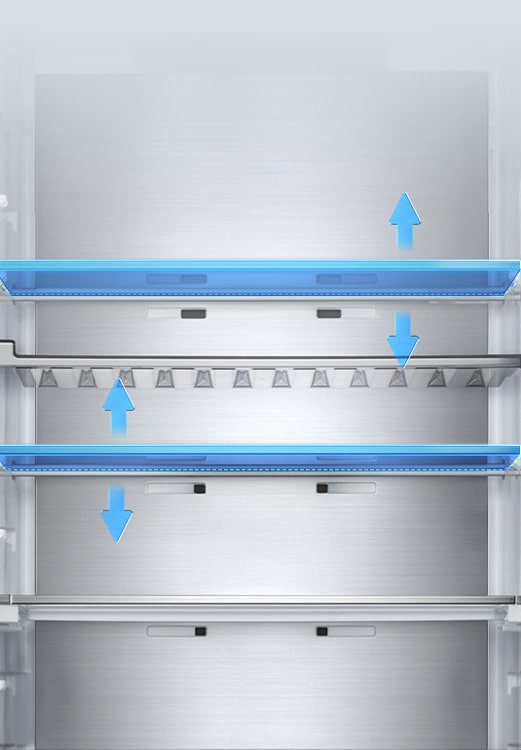 LG fridge (GBBW726AEV) interior view with five shelves and adjustable height levels shown with blue arrows indicating vertical movement