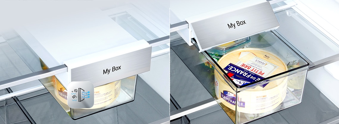 LG fridge freezer (GBBW726AEV) left image shows closed filter box with cheese and deodorizing icon bottom left right image shows box open revealing cheese