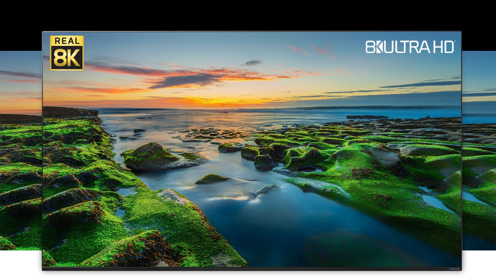 Écran de téléviseur montrant une large vue sur la nature avec les logos de la Real 8K et de la CTA