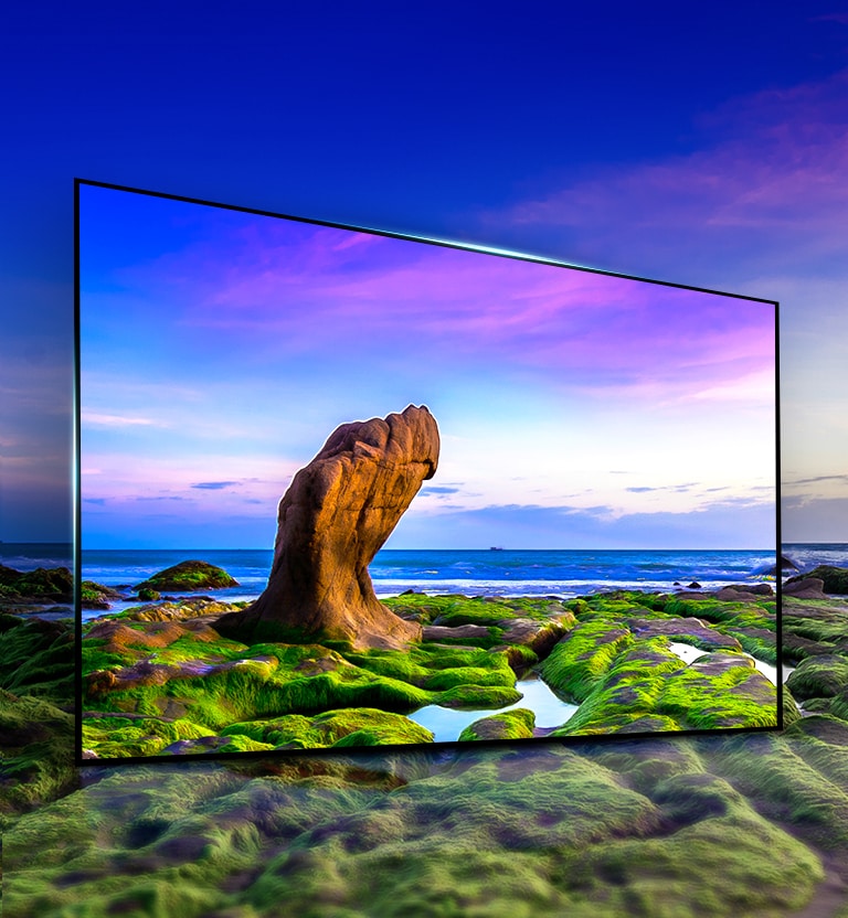 Une image exceptionnelle à tous les angles de vue2