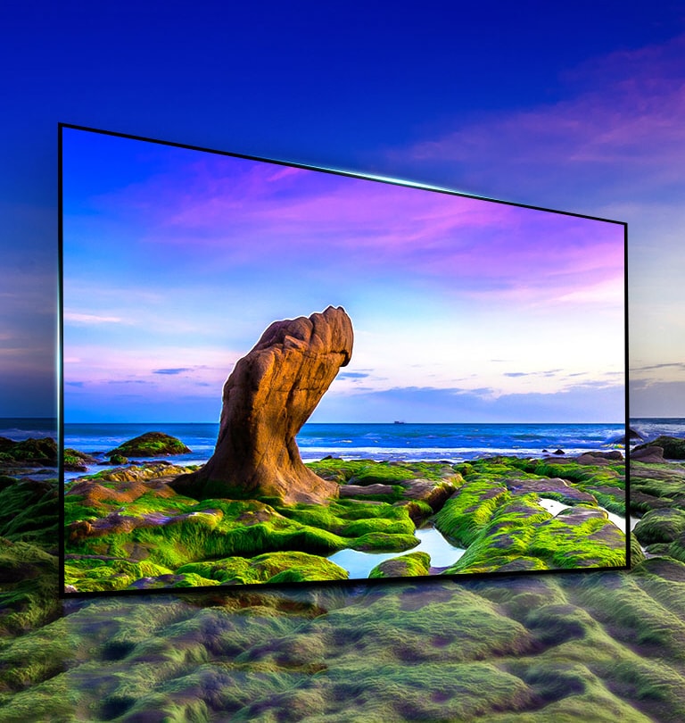 Une image exceptionnelle à tous les angles de vue2