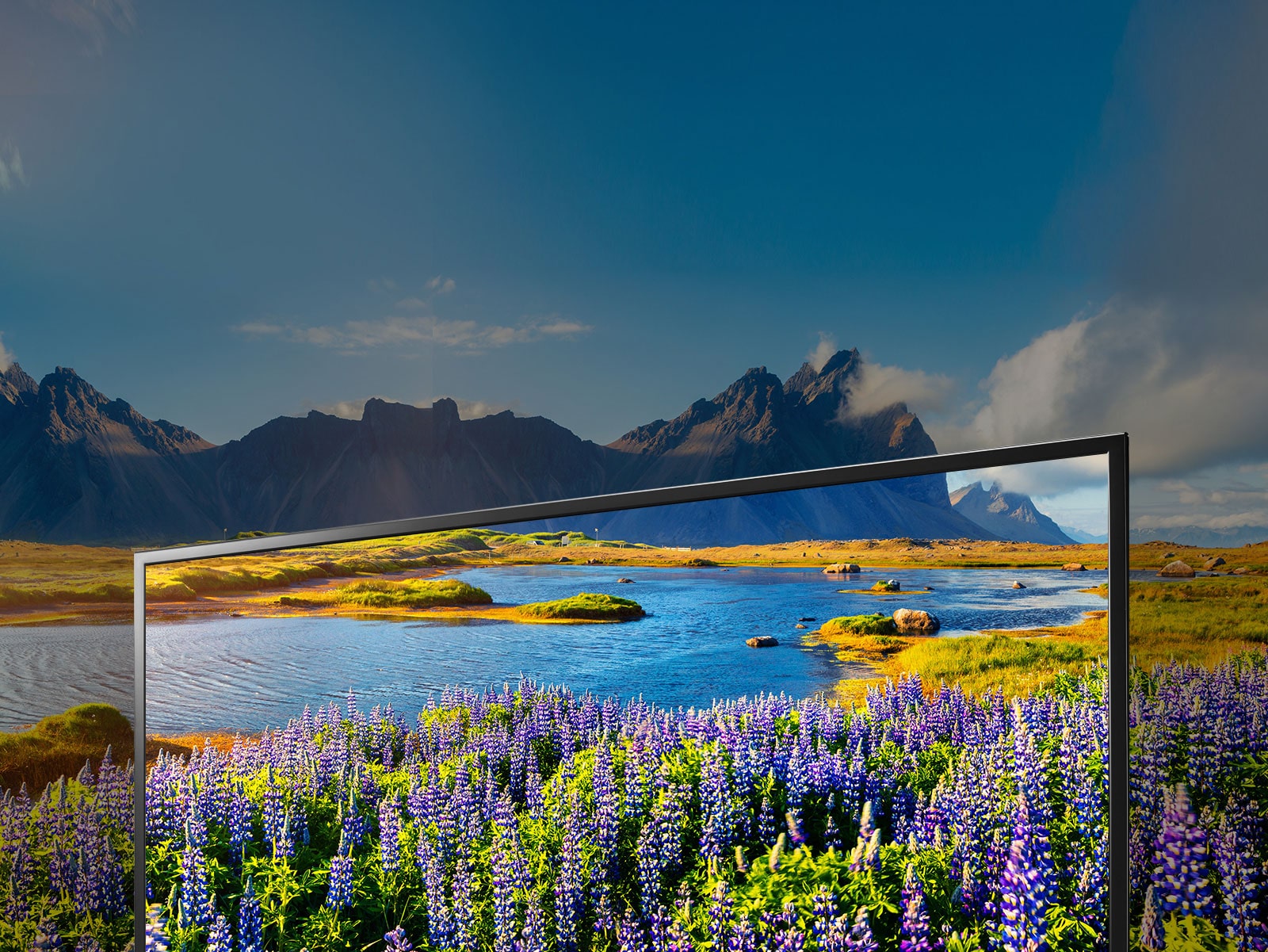 Une révolution en termes de couleur et de netteté1