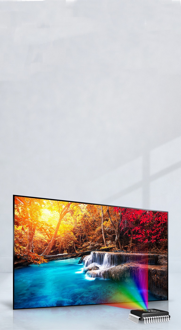 Enrichit les couleurs pour un éclat sans précédent