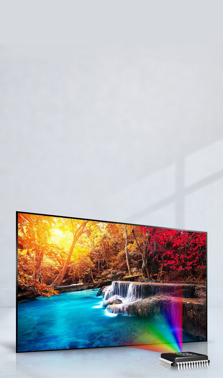 Enrichit les couleurs pour un éclat sans précédent