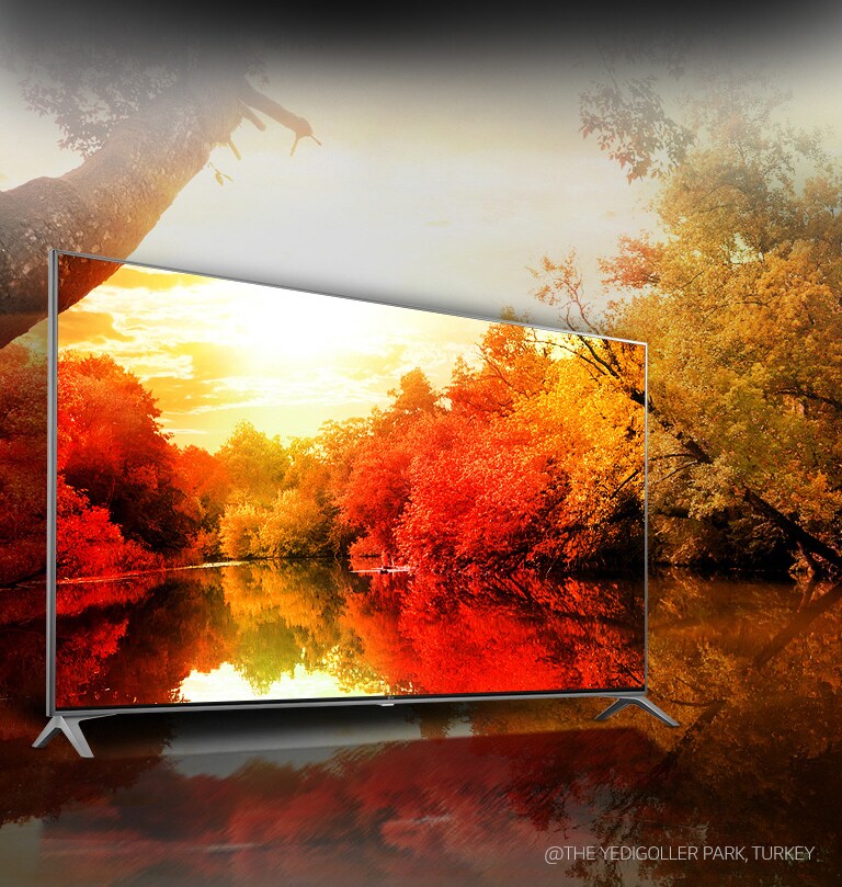 Plus d'un milliard de nuances de couleurs2