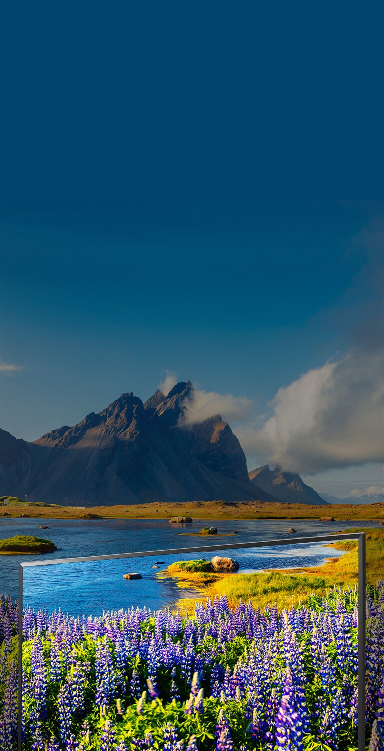 Une révolution en termes de couleur et de netteté