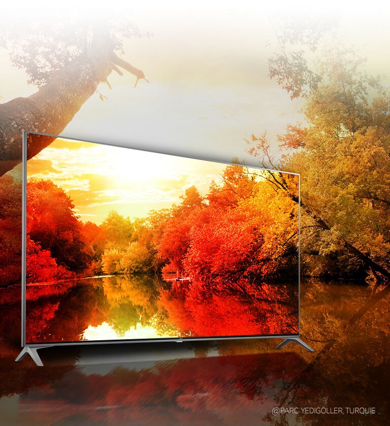 Couleurs riches grâce au 'Billion Rich Colours'2