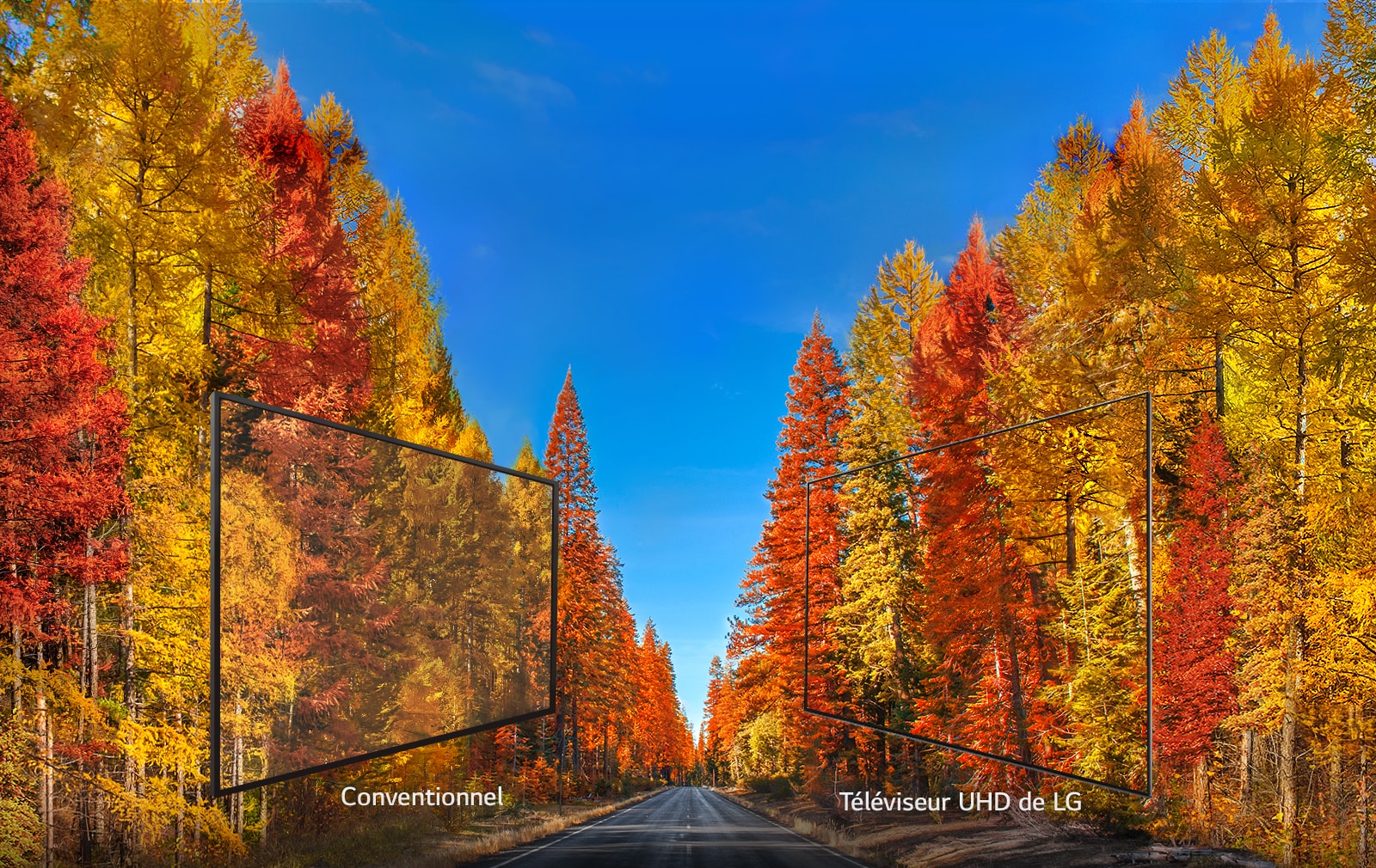 Couleurs riches sous tous les angles1