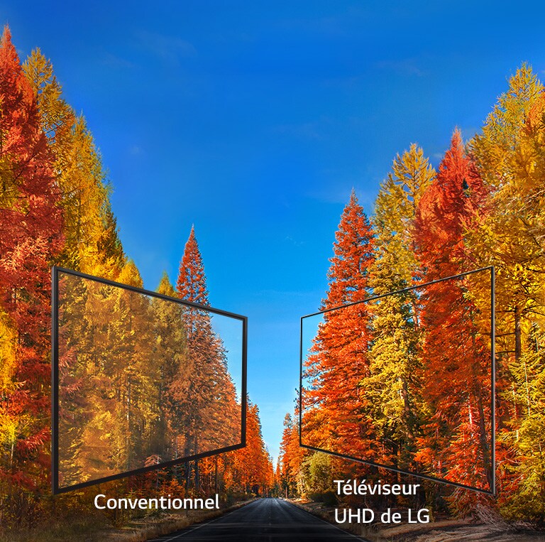 Couleurs riches sous tous les angles2