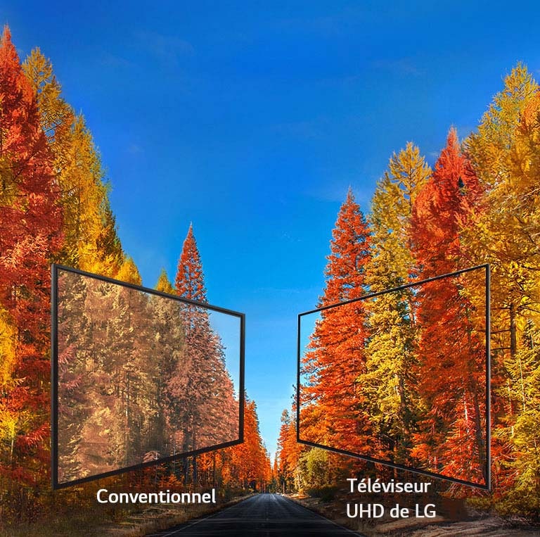 Couleurs riches sous tous les angles