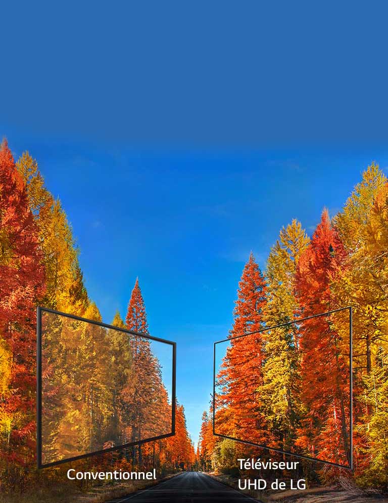 Couleurs riches sous tous les angles