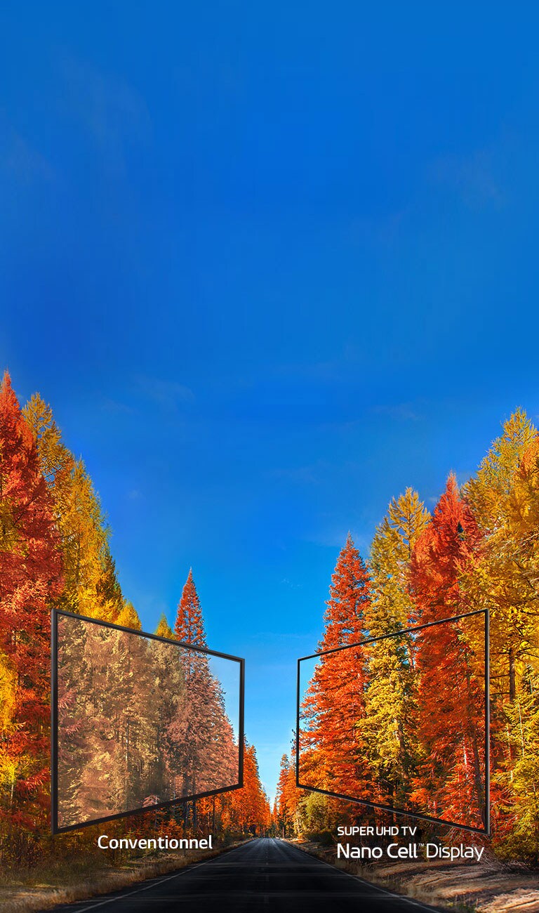 Révéler la vérité des couleurs du téléviseur<br>2