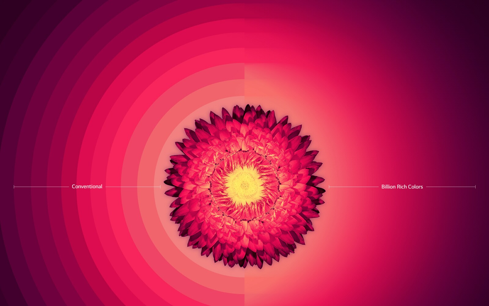 Billion Rich Colors1