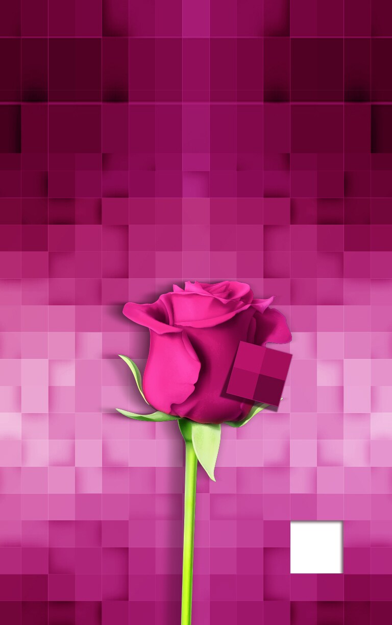 3D Color Mapping<br>2