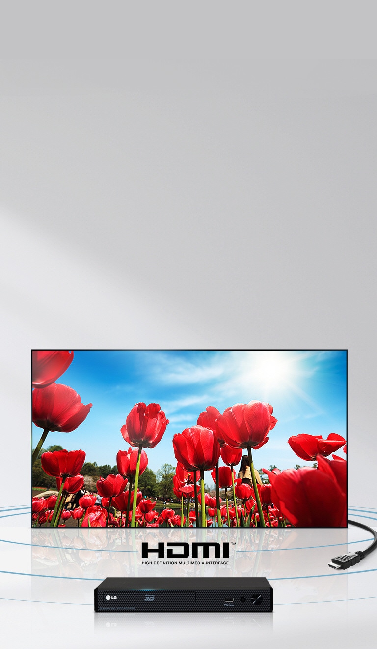 Profitez de vidéos et de contenus audio de qualité supérieure via un câble HDMI unique