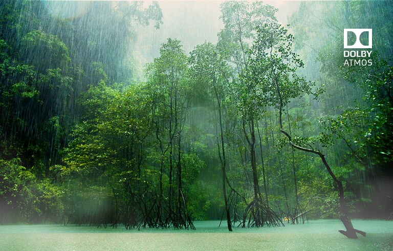 Dolby Atmos®<br>Le son cinéma à la maison<br>2