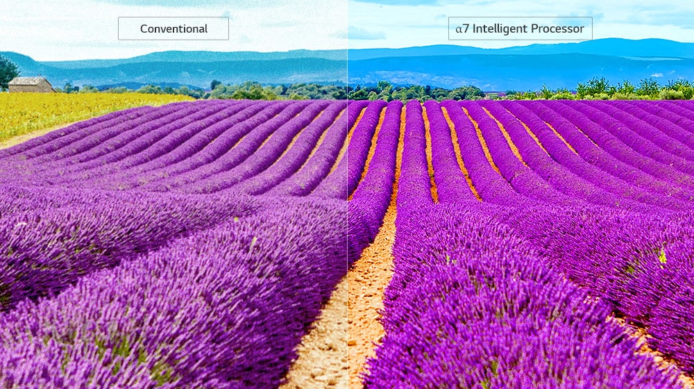 True Color Accuracy3