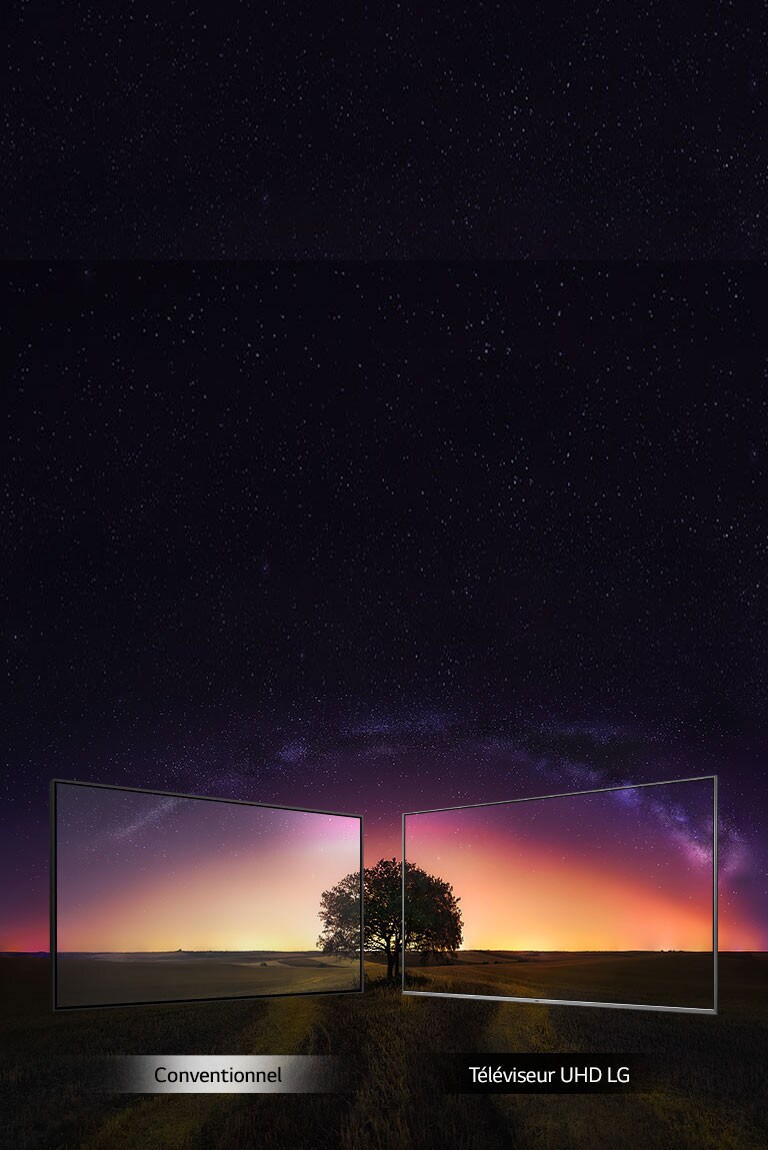 Des images cohérentes sous tous les angles 2