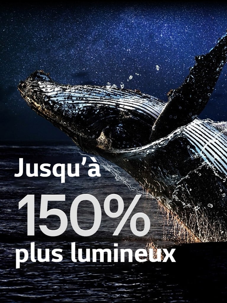 Une baleine saute de l’océan sur un fond noir. Les mots « jusqu’à 150 % plus lumineux » apparaissent au dessus de la baleine et deviennent plus lumineux.