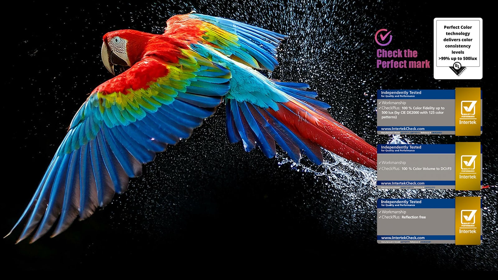 Perroquet coloré en ultra haute définition sur un fond noir. On voit des gouttes d’eau suspendues dans l’air tout autour. L’image présente la technologie Perfect Color, car chaque couleur différente du corps du perroquet est dynamique et éclatante. Le fond sombre avec les éclaboussures d’eau détaillées met également en valeur la protection de l’écran contre les reflets. Différentes certifications de logo UL et Intertek sont visibles. Celles-ci font référence aux technologies 100 % de fidélité des couleurs, Volume de couleurs à 100 % et à sa certification sans reflet. Le texte est également visible, vérifiez le logo de certification Perfect Color.