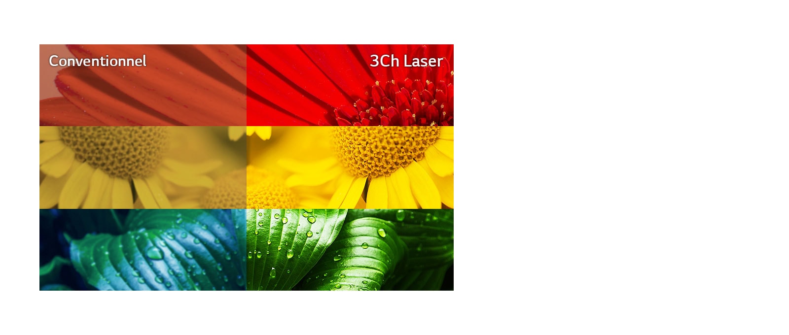 Précision des couleurs ultime1