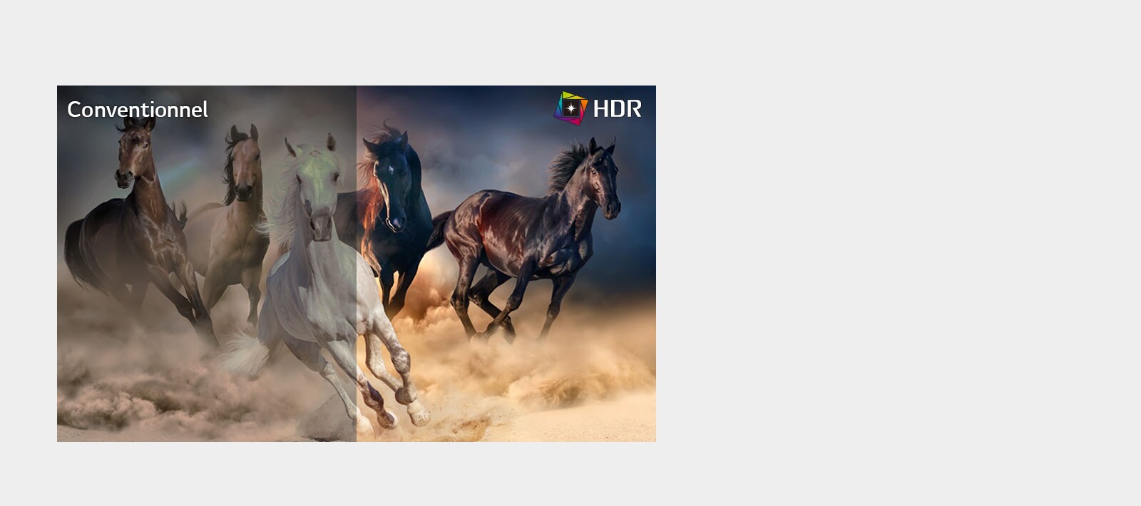 Fidèle à l'image originale1