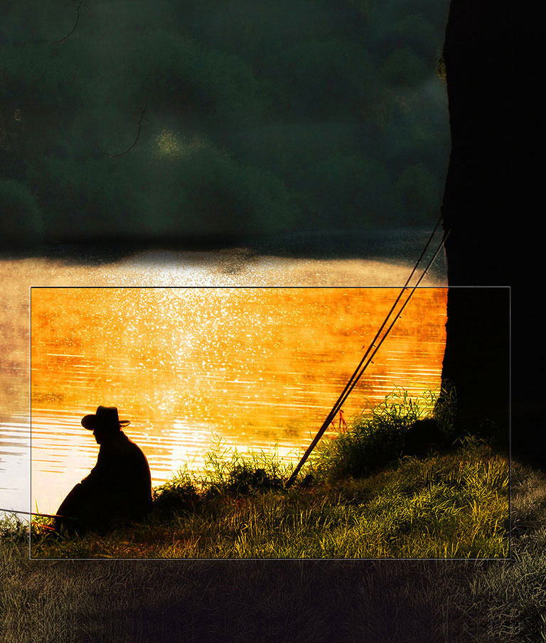 Noirs parfaits. Contraste extraordinaire.<br>2