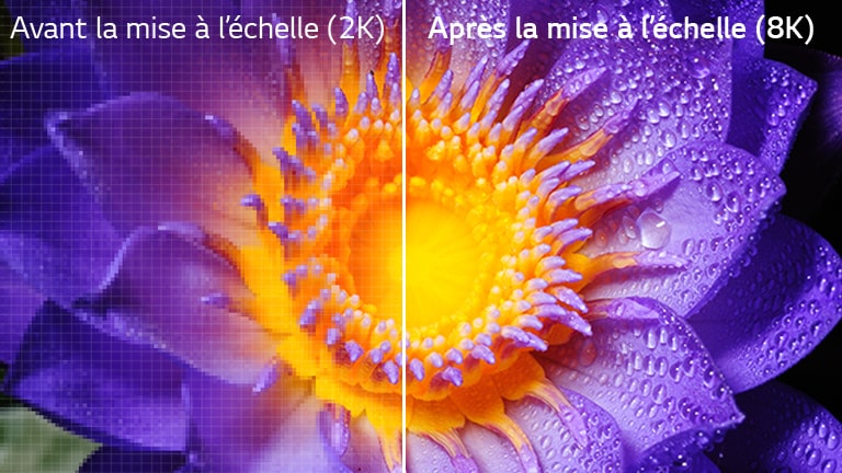 L’image d’une fleur en définition originale 2K sur la gauche et mise à l’échelle en 8K sur la droite.