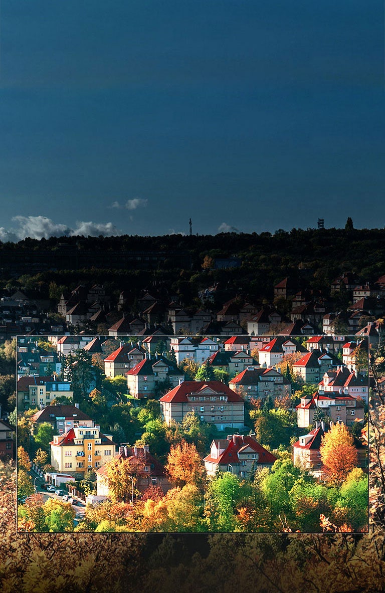 Couleur spectaculaire créée par l'écran Nano Cell™2