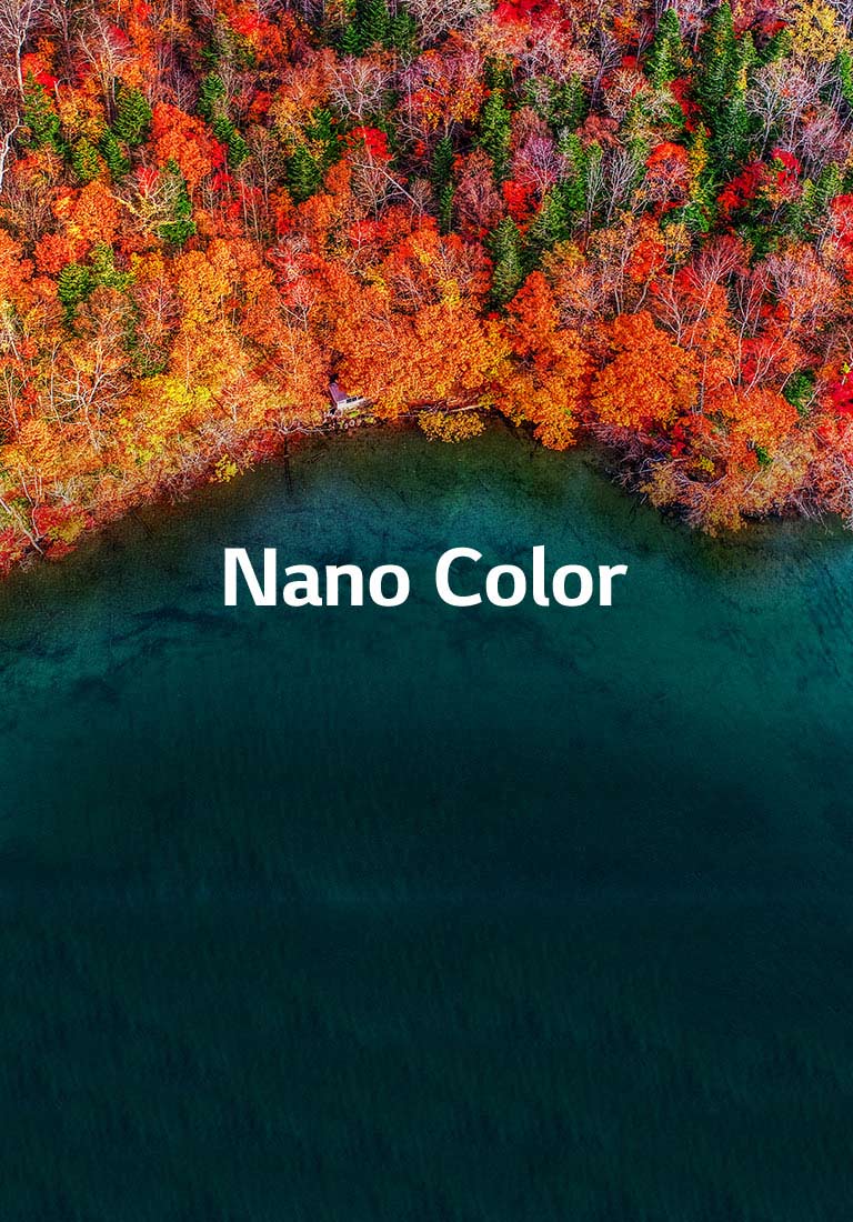 Une pureté de couleur raffinée2